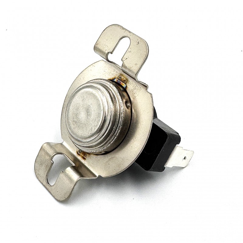 LIMIT THERMOSTAT - 4031.047