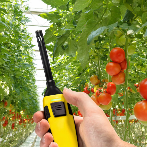 BC21WP - czujniki aplikacji - termohigrometr z obsługą za pomocą smartfona